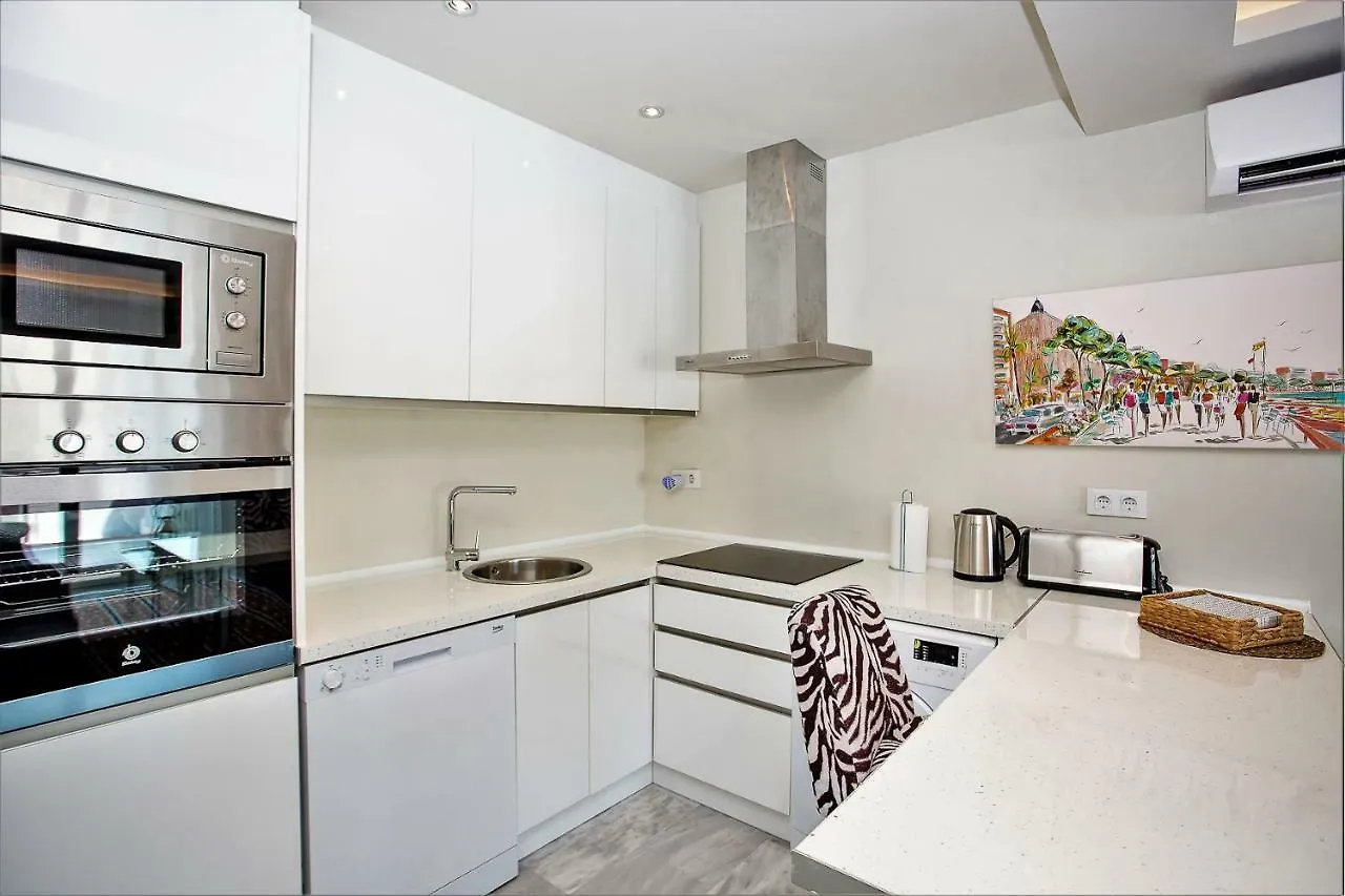 Luxury Apartments With Private Swimming Pool Марбелья